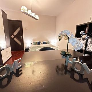 Apartment Fortress View Timișoara (5)