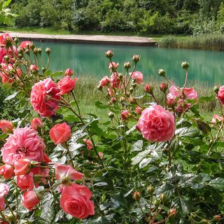 Apartman Obrovac - CDA670 (2)