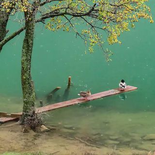 Apartman Obrovac - CDA670 (3)