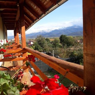 Pensiunea Leia Transfăgărășan Cârţişoara (4)