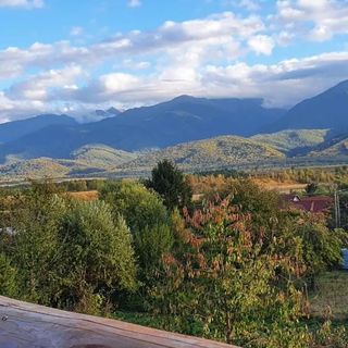 Pensiunea Leia Transfăgărășan Cârţişoara (5)