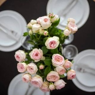 Easy Rent Apartments - Centrum 1 Lublin (5)