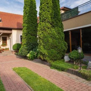 Karolek - Apartamenty i Pokoje Grzybowo (5)