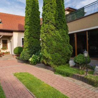 Karolek - Apartamenty i Pokoje Grzybowo (5)