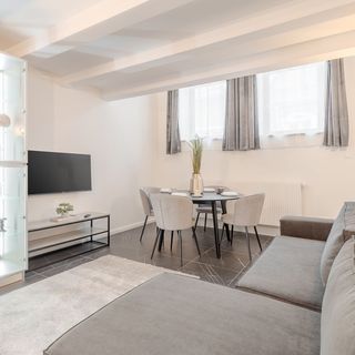 Apartament UItra-Central Lux Oradea  (3)