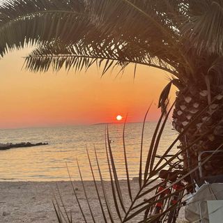 Apartman Vene Povljana (4)