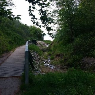 Willa Oliwka Chłapowo (4)