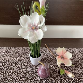 Magnólia Apartman Hegykő (4)