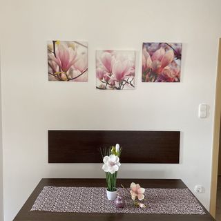 Magnólia Apartman Hegykő (5)