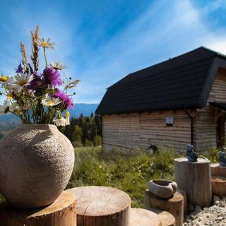 Casa de oaspeți The Barn Șirnea (5)