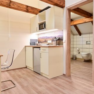 Apartmány Christian 17 Karlovy Vary (3)