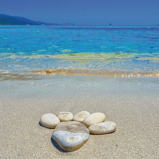 Apartman Brbinj - CDU645 (5)