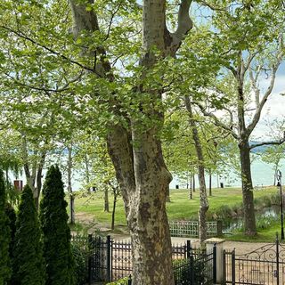 Jázmin Apartman Balatonföldvár (3)