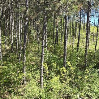 TüzesVíz Apartman Egerszalók (4)