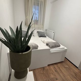 Taki Apartman Debrecen (3)
