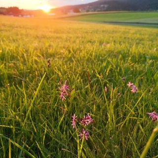 Böhmerwaldpur² Apartmanház Klaffer am Hochficht (3)
