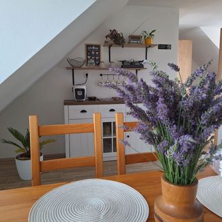 Ubytování U Křivánků II Hostětice (4)