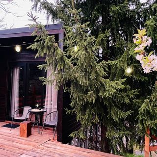 Cabana Owels Nest Borșa (2)