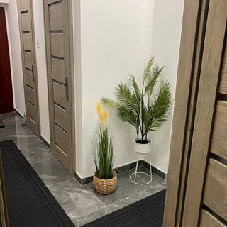 Központi Apartman 2. Kiskunfélegyháza (4)