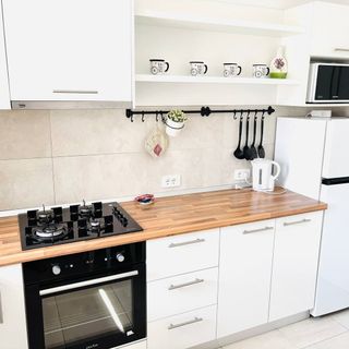 Stil Apartment Coresi Brasov (2)