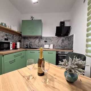 Apartament Neptun Residence Timișoara (3)