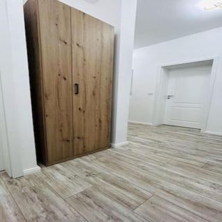 Apartament Neptun Residence Timișoara (4)