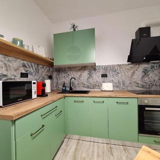 Apartament Neptun Residence Timișoara (5)