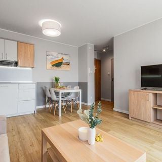 Stegna Forest - Apartament dwupokojowy nr 5 - parter (5)