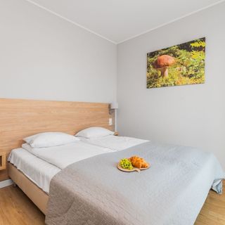 Stegna Forest - Apartament dwupokojowy nr 8 (2)