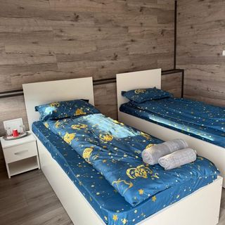 Casa Ștefan Pitești (2)