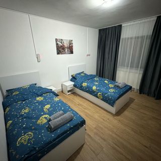 Casa Ștefan Pitești (3)