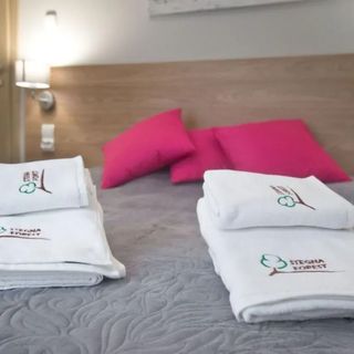 Stegna Forest-Apartament dwupokojowy nr 21 (4)