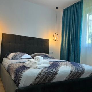 Alexander Cozy Apartment Mediaș (4)