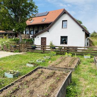 Illés Méhészet és Vendégház Felsőörs (2)