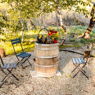 Cabana Moșia Lui Mati Tohani (3)