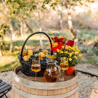 Cabana Moșia Lui Mati Tohani (4)