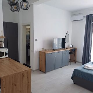 Apartament Serena Baile Felix (3)