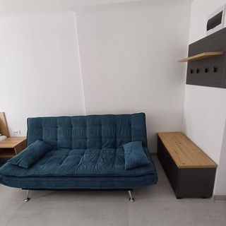 Apartament Serena Baile Felix (4)
