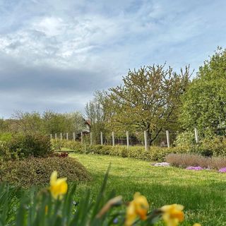 Haptapta Ház Balatonudvari (2)