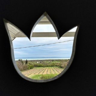 Haptapta Ház Balatonudvari (5)