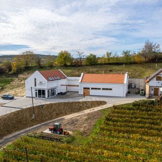 Werner Apartman Bátaszék (5)