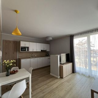 Stegna Forest-Apartament Jednopokojowy z wnęką sypialnianą M28 (4)