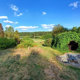 SUPy, Krokodyl & Las Trzebiechowo (3)