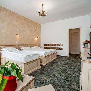 Hotel Rin Sibiu (5)