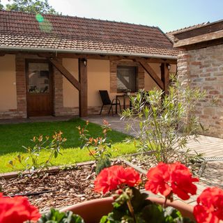 Vadvirág Apartman 2 Gyula (2)