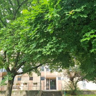 Turul Apartman Tatabánya (4)