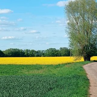 Apartman Modrzyca - PPW952 (4)