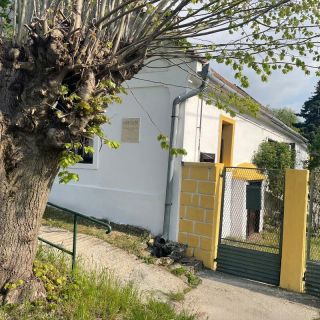 Tulipános Láda Vendégház Pula (3)