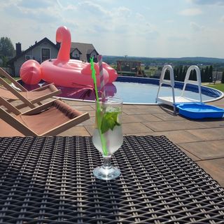 Apartament pod Strzechą Chęciny (4)