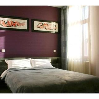 Hotel Diafan Baia Mare (5)